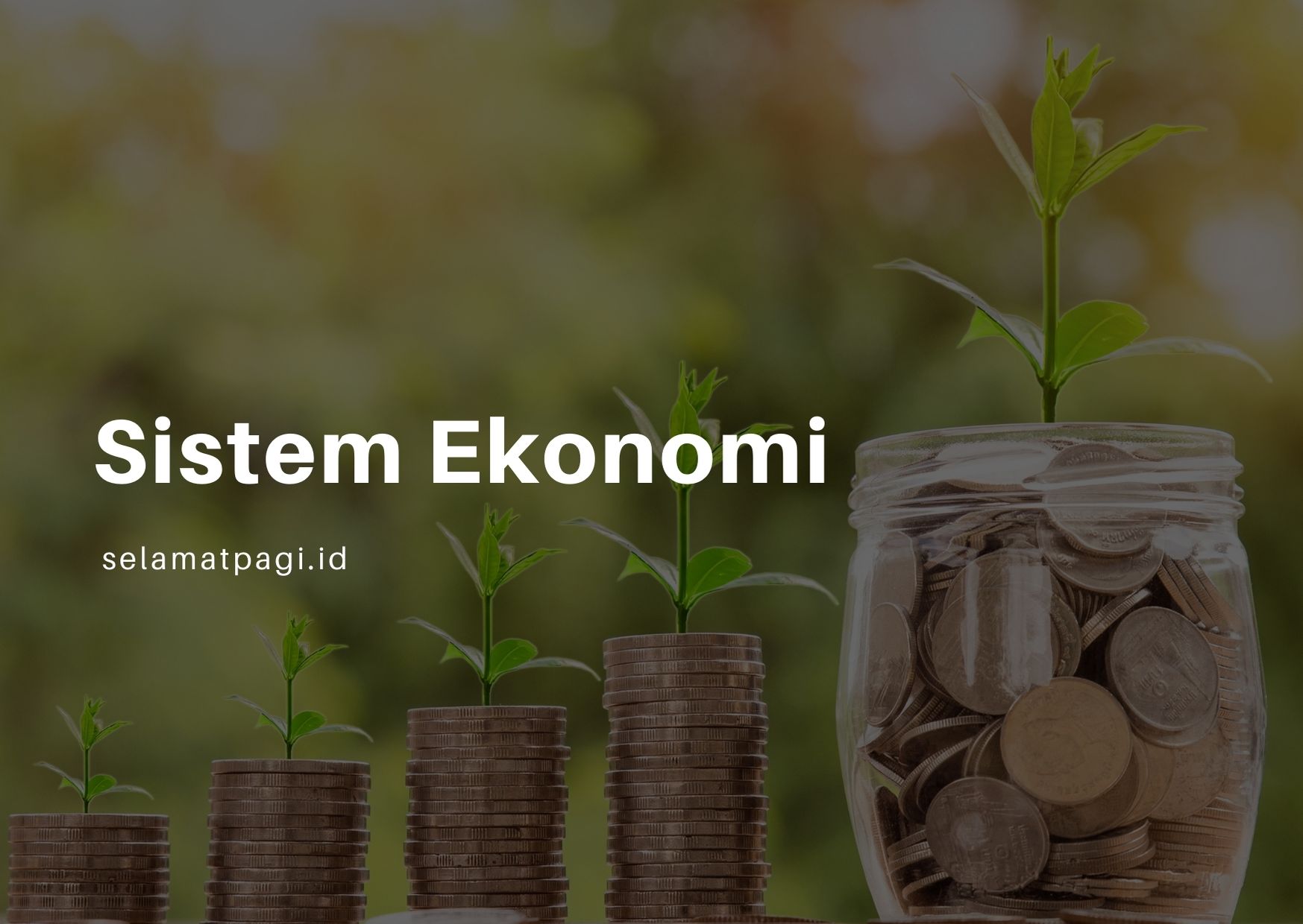 Sistem Ekonomi - Fungsi, Jenis Dan Sistem Ekonomi Di Indonesia